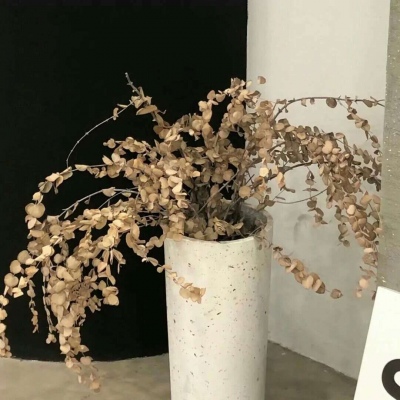 Furry插画光影处理技巧FurryQQ群